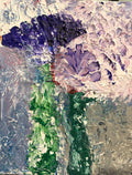 Violeta